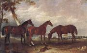 unknow artist Some Horses Sweden oil painting artist